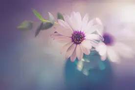 一个家庭是否兴旺，关键在于老人，以下三种遇到了麻烦不断图片