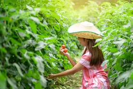 春天该种什么菜？她都盘清楚了~图片