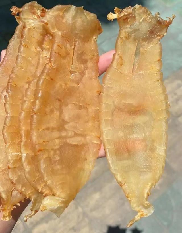 最贵的鱼胶多少钱一斤 最贵鱼胶多少钱一斤2023年价格