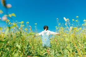 这个春季，乌当四条country walk精品线路等你来“打卡”图片