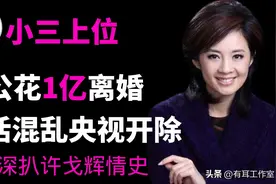 许戈辉想嫁默多克没成，只能给人家打工，二婚老公为她花一亿离婚图片