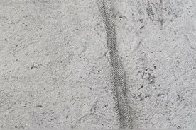 见过蛇蜕皮吗？2米半长的蛇皮从眼睛到尾尖完整无损，奇了图片