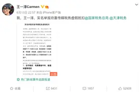 导演王一淳实名举报欢喜传媒税务虚假抵扣，该公司由宁浩、徐峥等创办图片