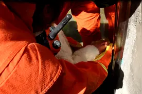 5岁女孩手被卡住，家长心急如焚图片