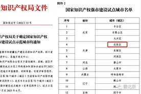 硬核！北辰区成功入选首批国家知识产权强市建设试点城市图片