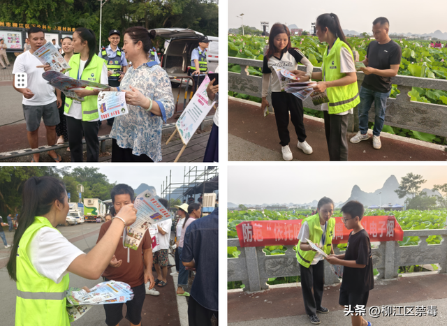 百朋镇荷花文化旅游季：禁毒宣传与美景同行