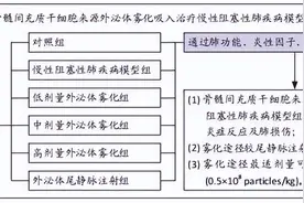 吸入骨髓间充质干细胞来源外泌体减轻慢性阻塞性肺疾病的炎性损伤图片