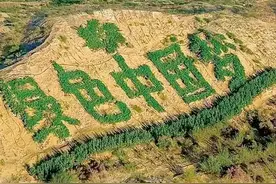 中国第一个即将消失的沙漠，面积比海南岛大，治沙奇迹如何实现？图片