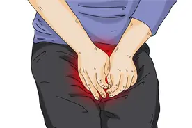什么是阴虱？感染后身体有什么感觉？它的传播途径，男女都需了解图片