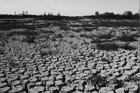 莱阳百年大天灾图片