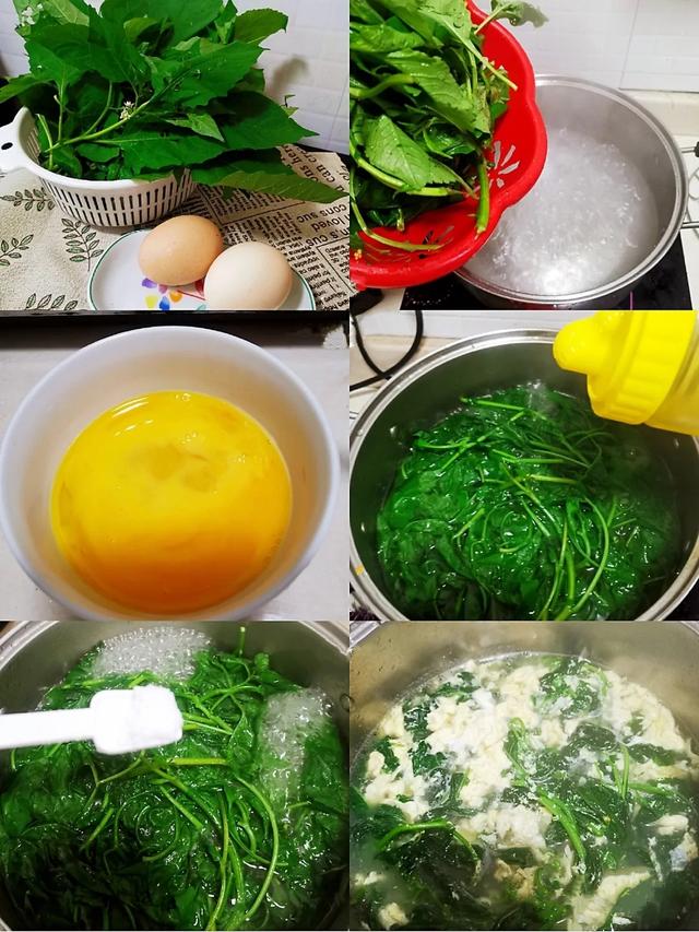 9种常见野菜的好处与吃法，作用一个比一个大，味道一个比一个鲜