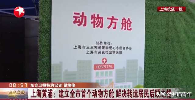 买到一盒肯德基猫爪蛋挞,我当场气死