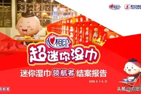 结案报告撰写内容格式|2020心相印迷你湿巾结案报告图片