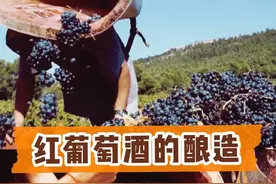 红葡萄酒的一般酿造过程图片