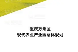 重庆万州现代农业产业园总体规划方案图片