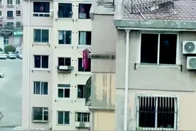 【文明警示线】楼顶种菜放铁架，拆！图片