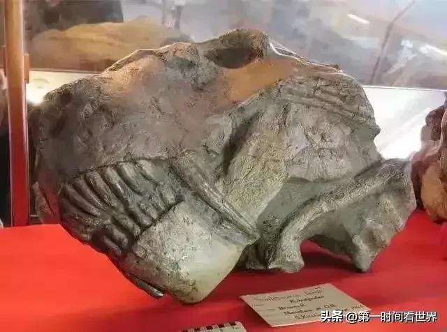 平壤最大的妓院，朝鲜航空的乘务员，39张图看世界
