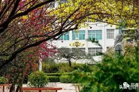 荐读 | 李维仓:庄浪一中八十周年校庆啸大江创作的四副楹联和一首绝句解读图片