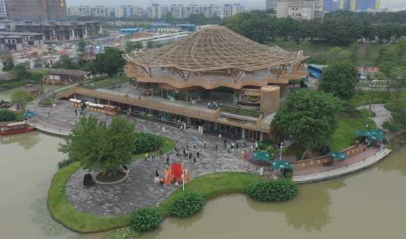 元旦将至 江门本地文娱活动有看头