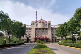 巷观年报〡陕西黑猫是“好猫”吗？图片