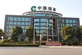 “中国烟草”扩招中，录用即是“正式工”，网友：门槛有点高吧图片