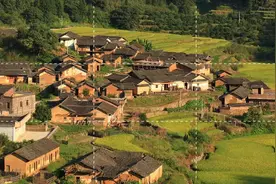 2011年广东一村庄突然涌现上百毒蛇，打不完抓不尽，专家前去调查图片