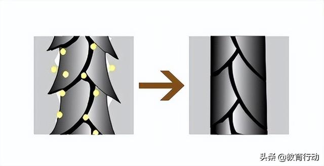 如何看懂洗发水成分表？