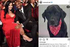 伤感！科比爱犬去世了，去天堂陪主人，瓦妮莎晒图怀念：感谢你图片