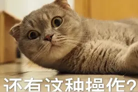 谁告诉你VIP会员就能随便看普通会员个人信息了？图片