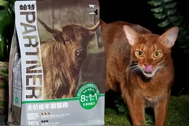 什么牌的猫粮比较好？图片