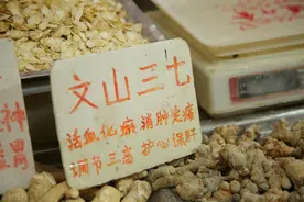 三七粉有哪些作用？该如何正确服用三七粉？图片