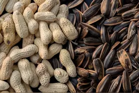 瓜子和花生，一个容易长胖，一个帮助减肥，或许多数人吃错了图片