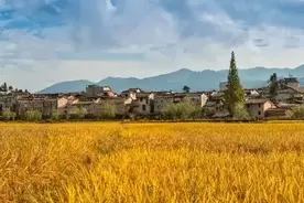 明朝进士的升级通关之路图片