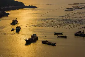 独来独往的人，都是这样的人图片