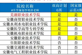 安徽“专科大学”9强：5所双高，5所国家级骨干，3所国级示范图片