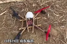 男子就地取材用竹子做无人机，成功起飞图片