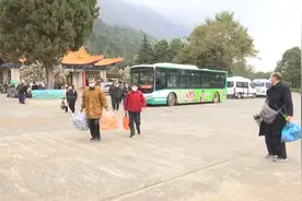 高峰来临！今年这些祭扫方式受欢迎图片