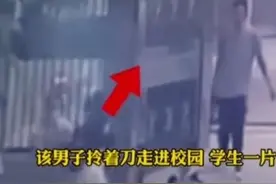 儿子被撞进ICU，作为父亲愤怒在幼儿园杀害6人图片