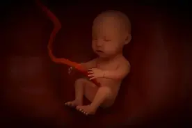 孕初期｜怀孕前三个月不能说？这是迷信还是另有说法？图片
