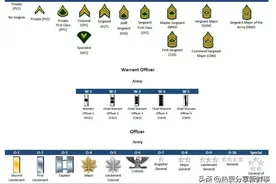 美国军衔完整列表（按顺序）下图片