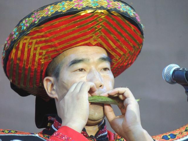 如何吹叶子吹出曲子,浅谈木叶吹奏技巧,太详细了,全是干货 - 冷求网