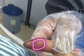 我国“第一毒蛇”，性情温顺不敢攻击人，为何多次袭击夜钓人？图片