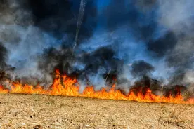 因自然灾害导致房屋受损，政府该给补偿吗？图片