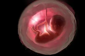 人的意识是生下来就有，还是后天形成的？意识和灵魂一样吗？图片