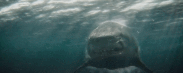 ���޳���2���ײ��ڱ���¯��ȫ����ӳ�����й����⾩������������