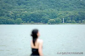 闭园一年，东湖最仙小岛升级归来！图片