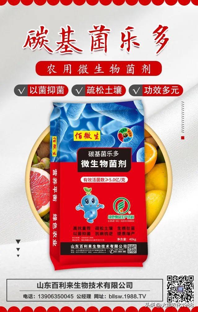 底肥选好 全年无忧 施底肥新方案！一底顶十追！是有机肥的数倍以上