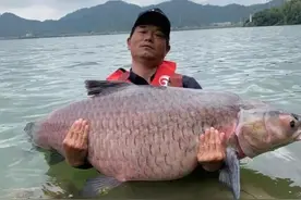 粉丝排名前十的钓鱼榜，你喜欢的博主上榜了吗？图片