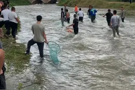 （突发）黄岛这座水库泄洪，村民争相捕捉大鱼！险象环生图片