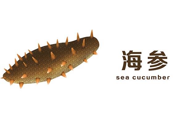 吃海参对头发有什么好处 2026年吃海参对头发有什么好处吗